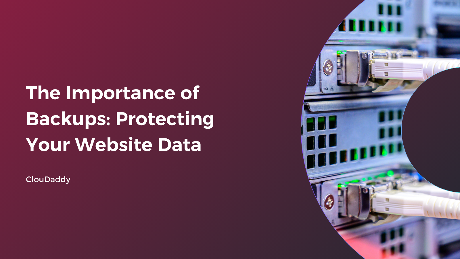 The Importance of Backups: Protecting Your Website Data